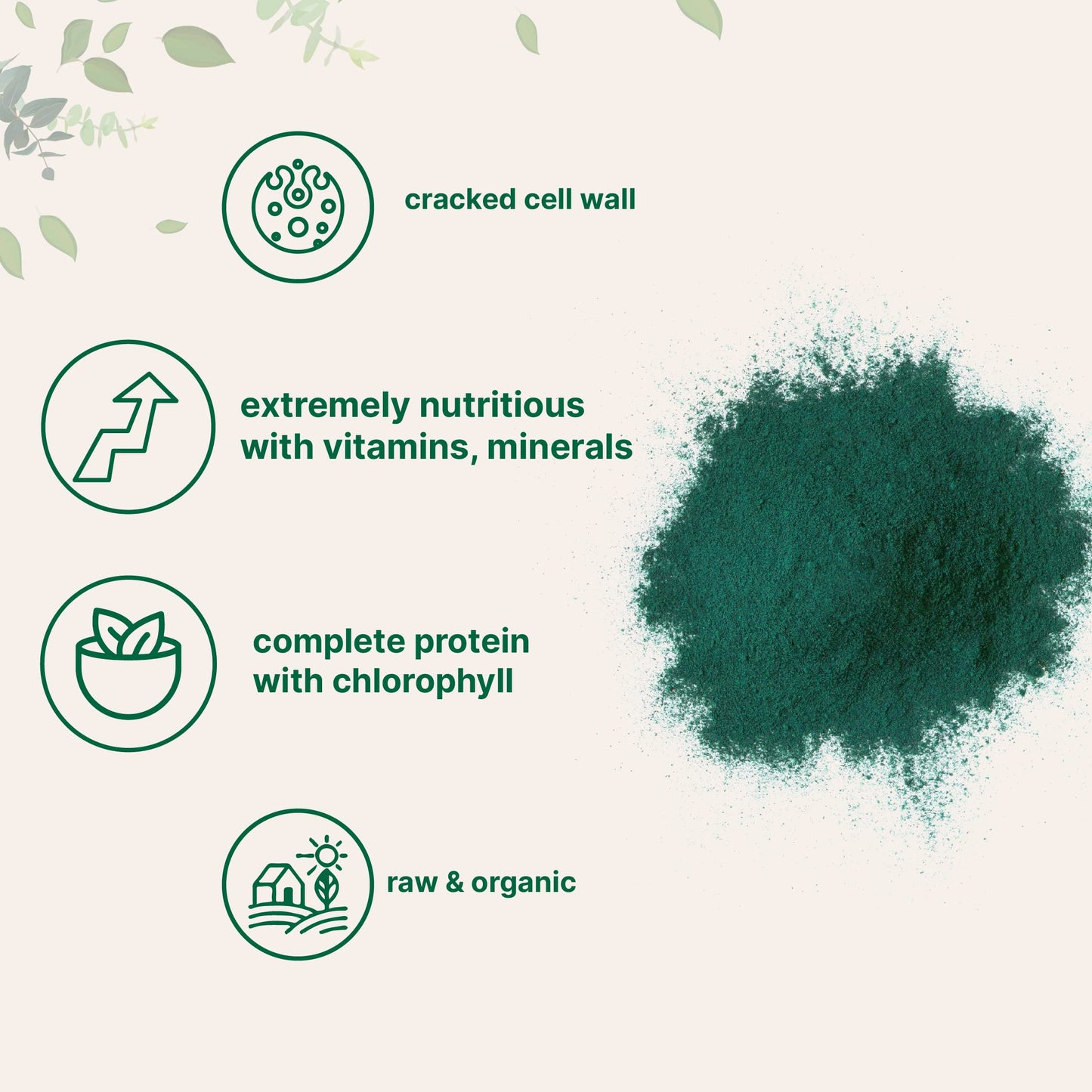 Micro Ingredients broken cell wall chlorella label details