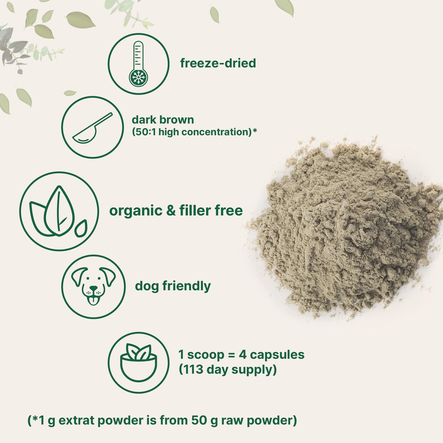 Fine texture of freeze dried organic Turkey Tail mushroom extract powder for smoothies and coffee