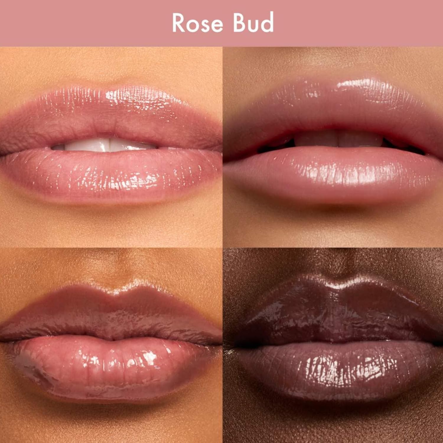 Summer Fridays Dream Lip Oil Rose Bud packaging