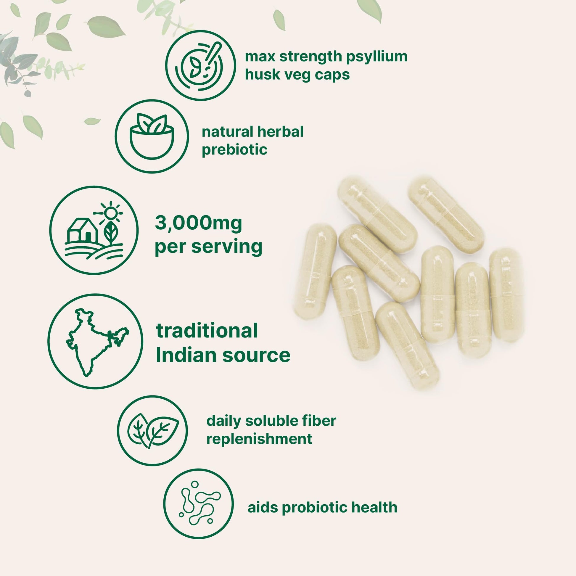 Micro Ingredients digestive fiber supplement nutrition facts