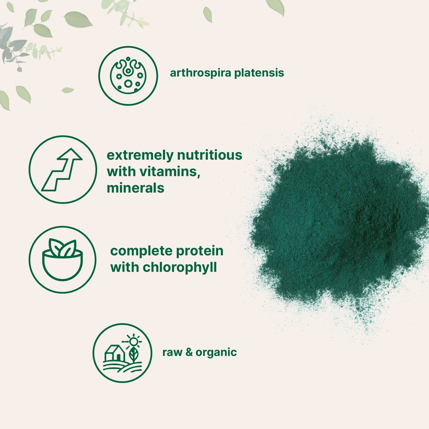 USDA certified organic spirulina powder nutritional facts and scoop