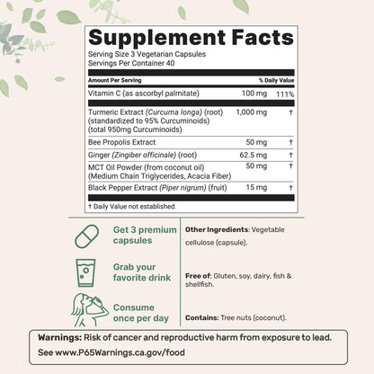 Micro Ingredients Turmeric 95 percent curcuminoids capsule supplement fact panel with ingredients.