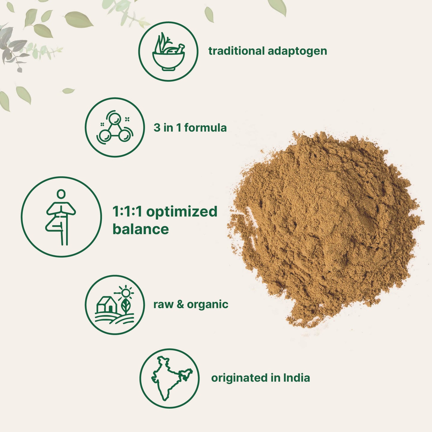 Nutrient dense green Triphala powder scoop showcasing the texture of the herbal formula.