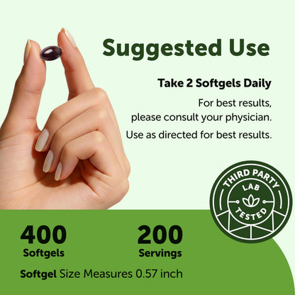 Micro Ingredients Ginkgo Biloba with MCT oil softgels for absorption overview