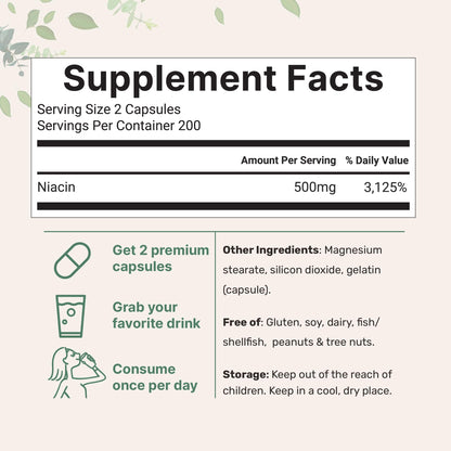 Micro Ingredients Vitamin B3 supplement bottle nutritional label