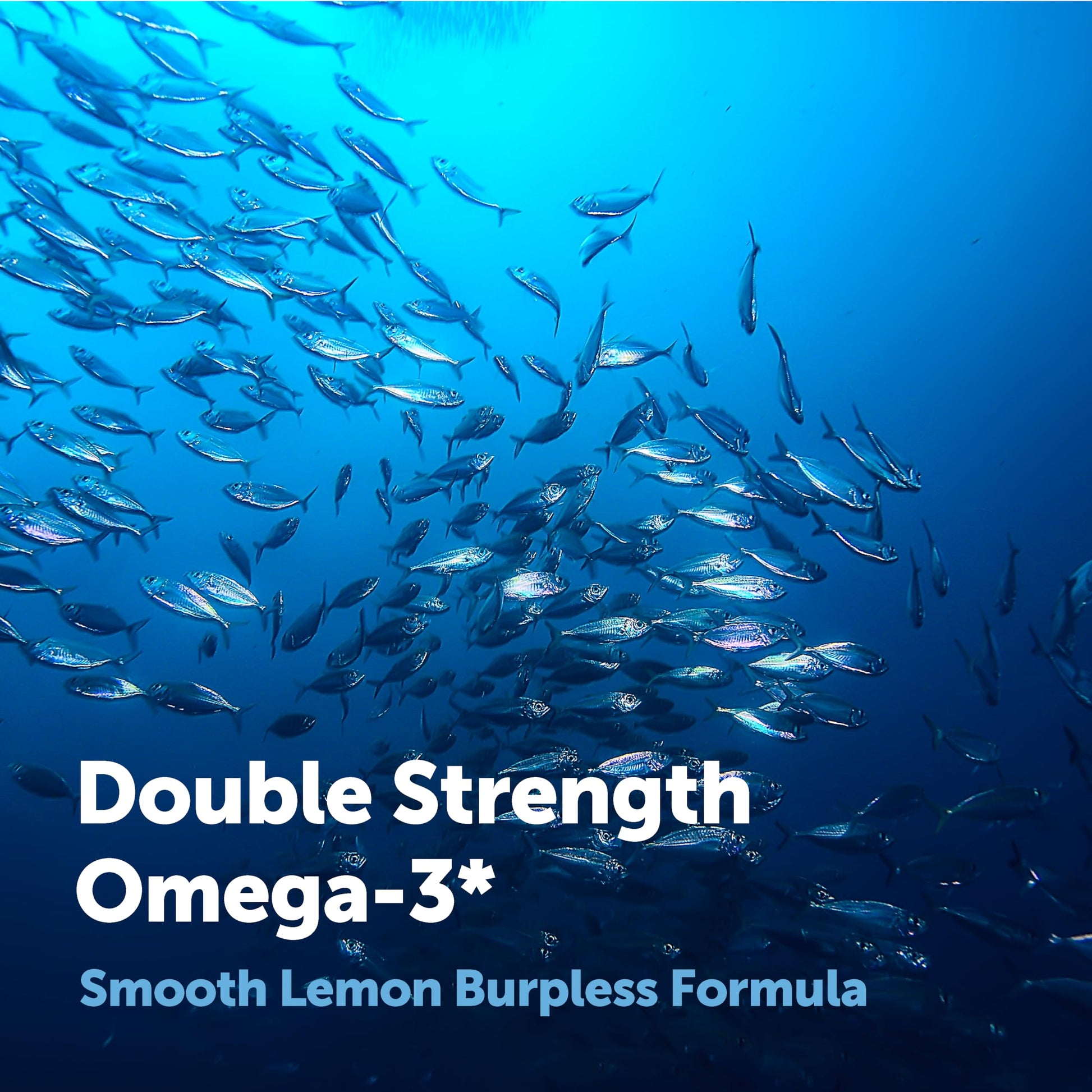 Micro Ingredients lemon flavored omega 3 premium dietary supplement for cardiovascular health and joint support