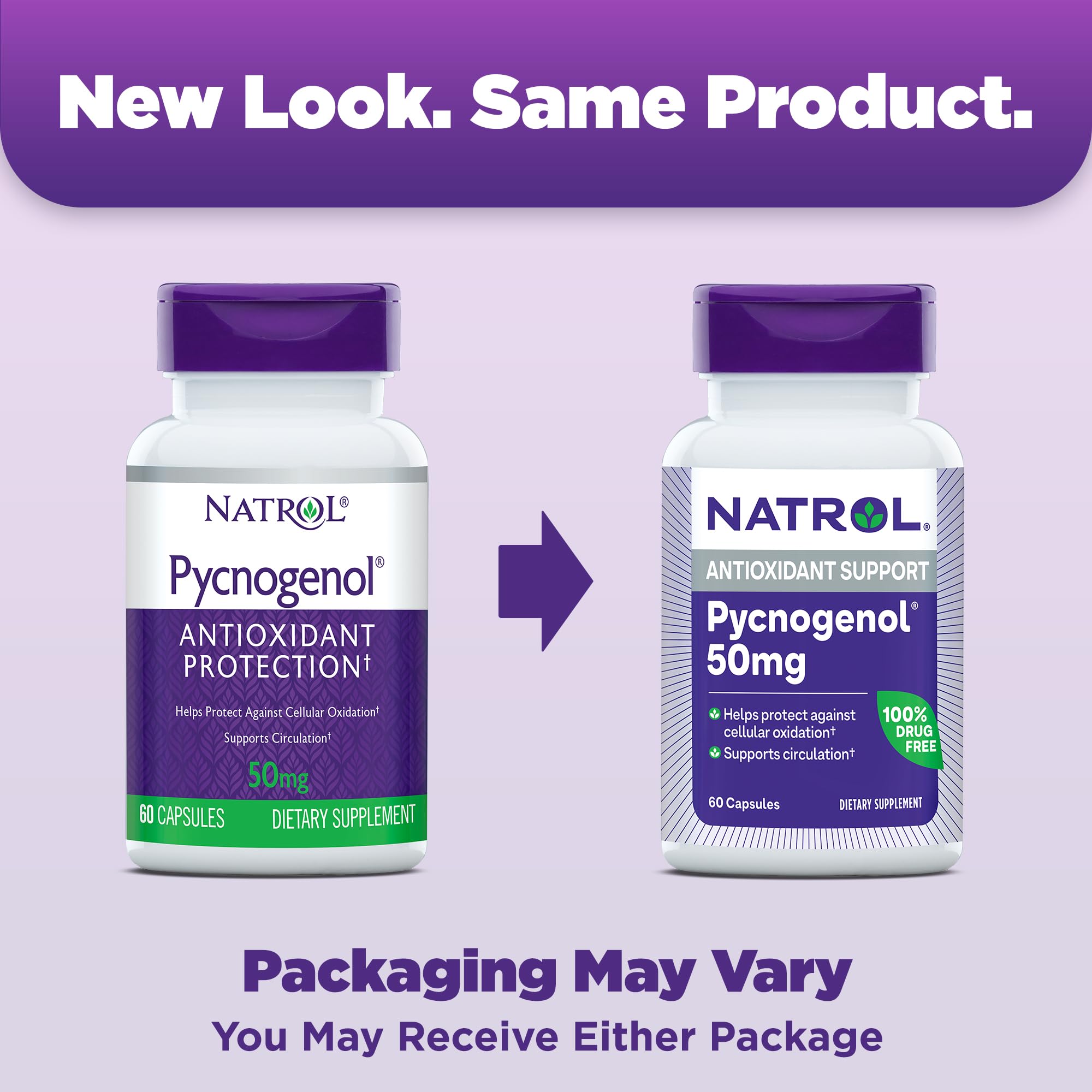 Natrol Pycnogenol 50mg dietary supplement side label showing clean ingredient details.