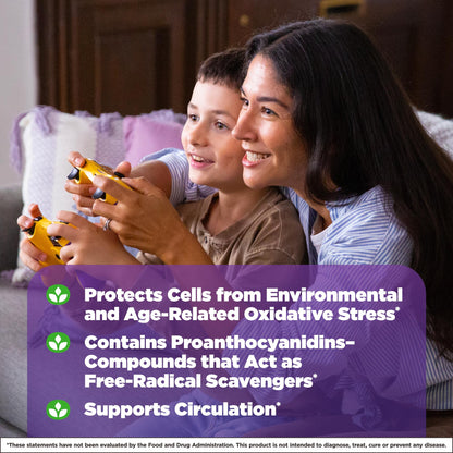 Authentic USA imported Natrol Pycnogenol bottle for blood circulation support.
