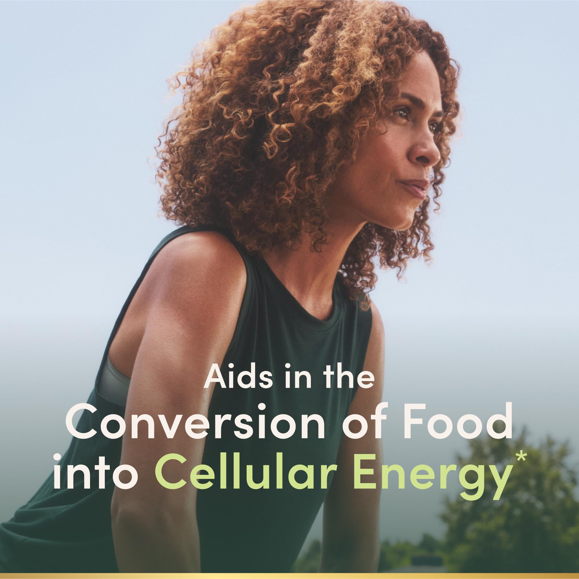 Nature's Bounty B12 sublingual liquid dropper mechanism showcasing the 1 mL measurement line for adult dosage.