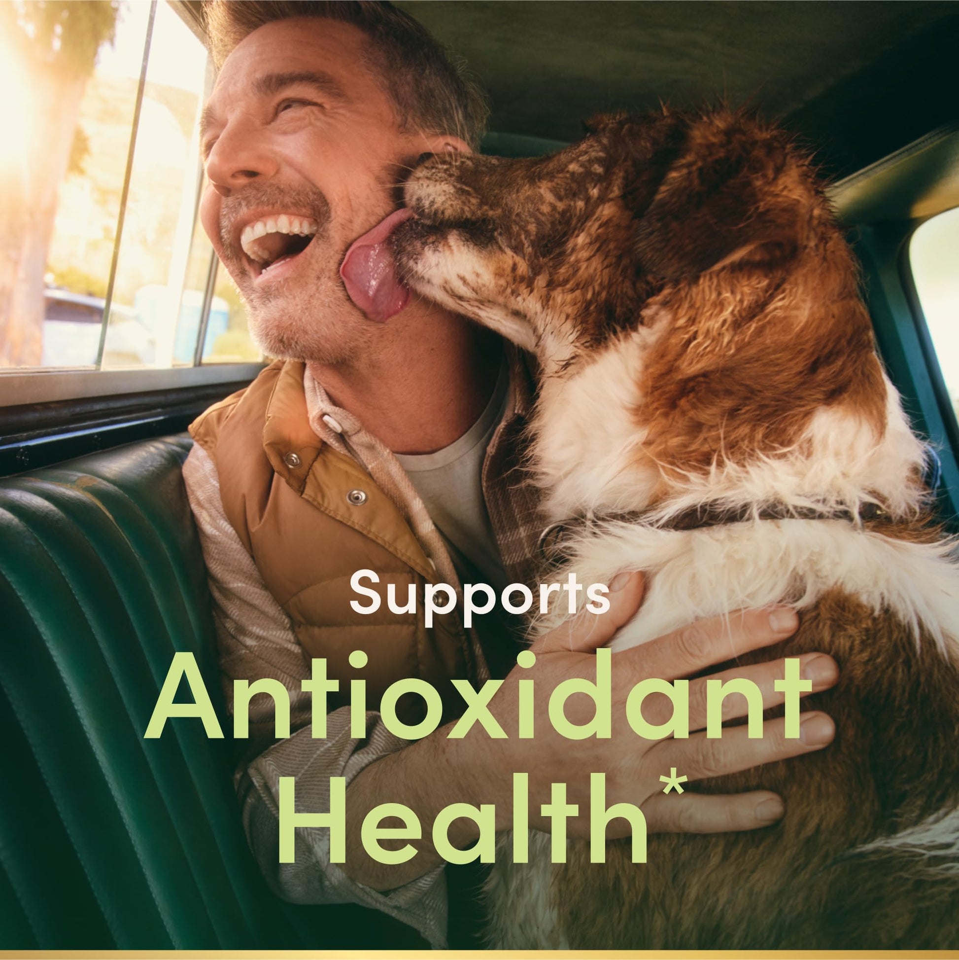 Nature's Bounty antioxidant high potency supplement side panel showing ingredients list