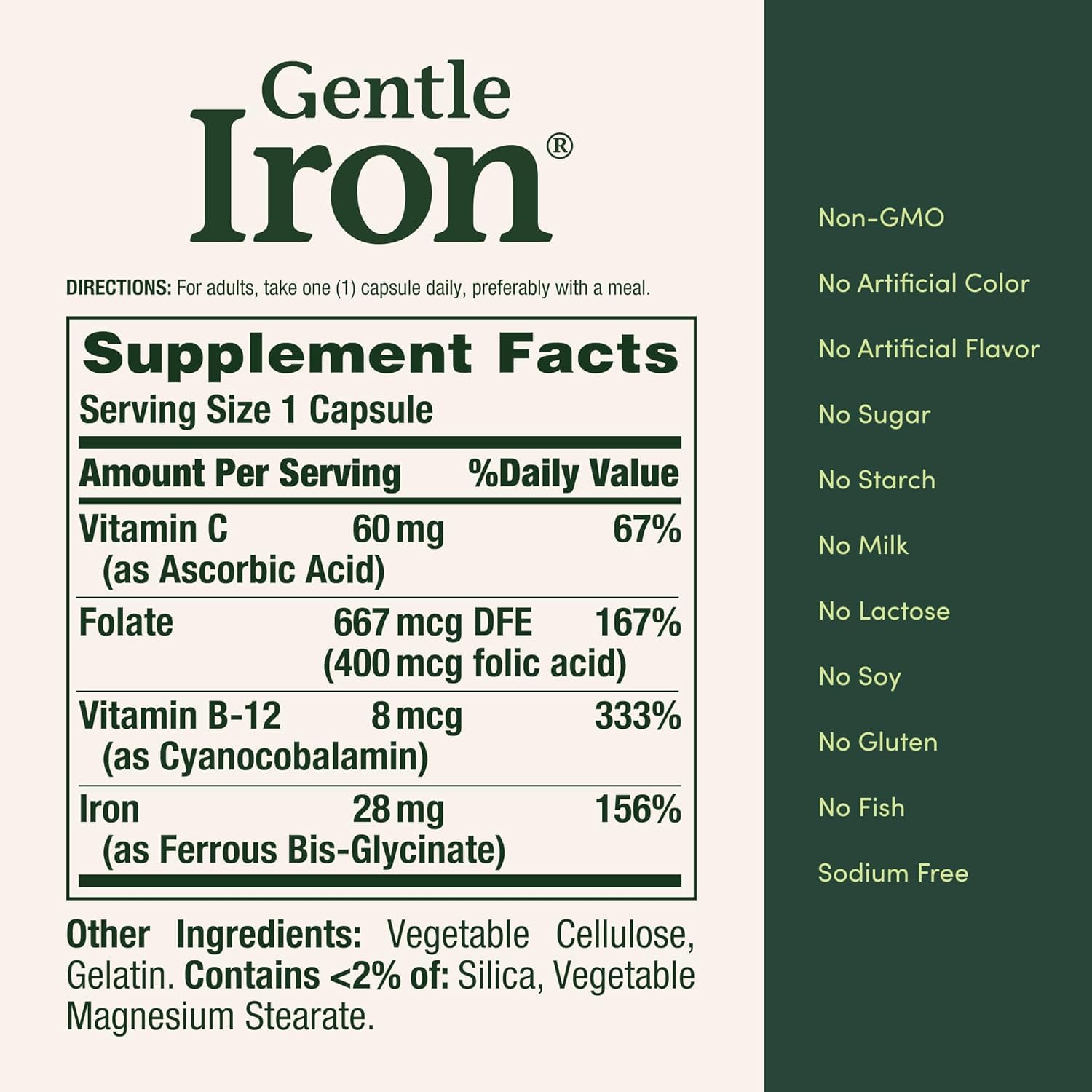 Nature's Bounty Gentle Iron ninety vegetarian capsules bottle displayed on a clean wellness background.