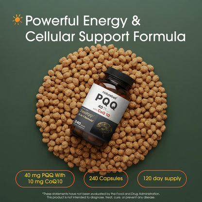 NatureBell PQQ and CoQ10 supplement facts label with detailed dosage breakdown of pyrroloquinoline quinone disodium salt