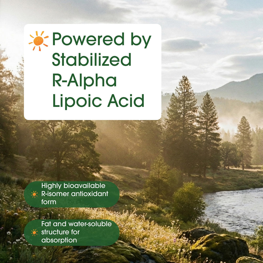 NatureBell R-Alpha Lipoic Acid cap and seal presentation
