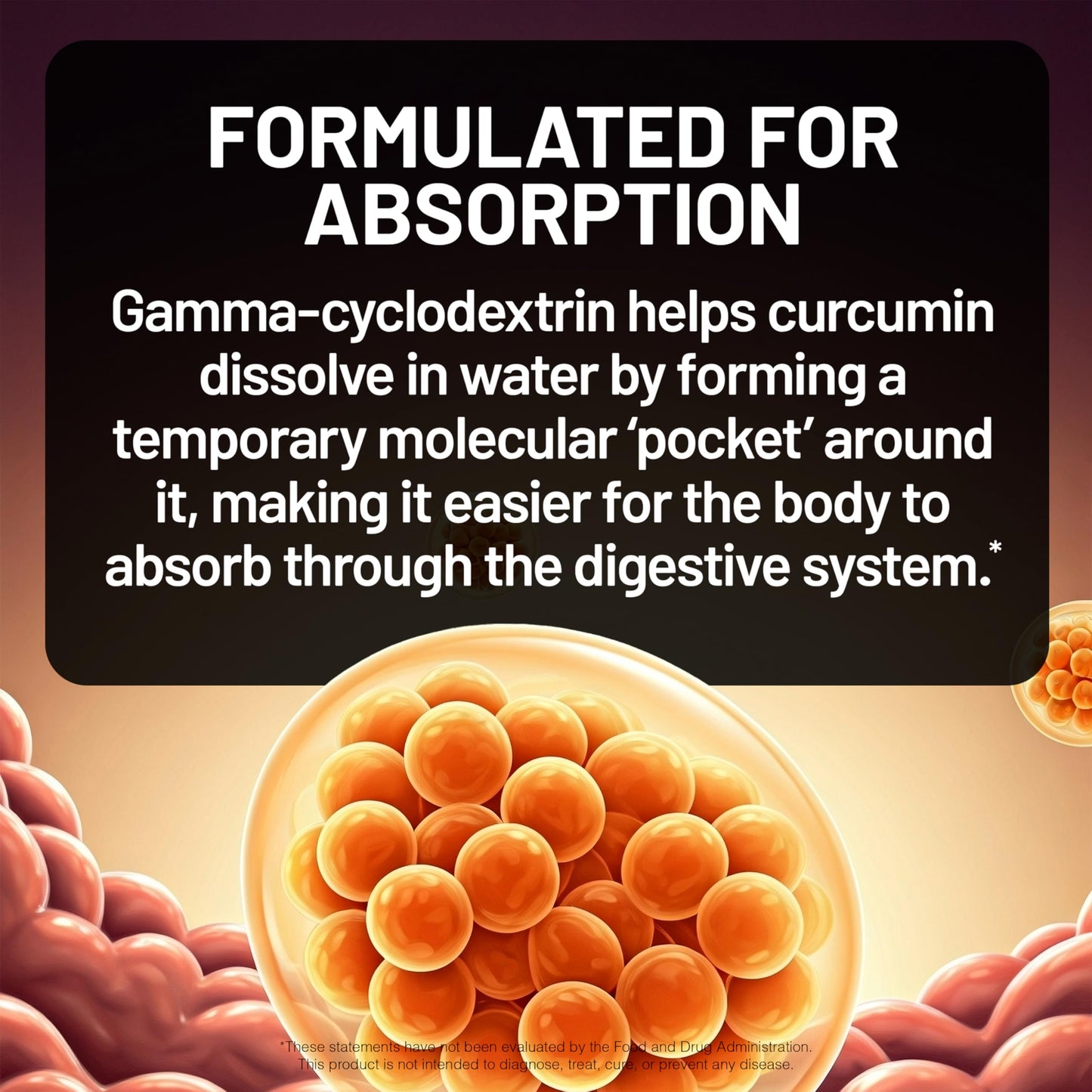 Naturewise Turmeric Curcumin capsules supplement facts panel