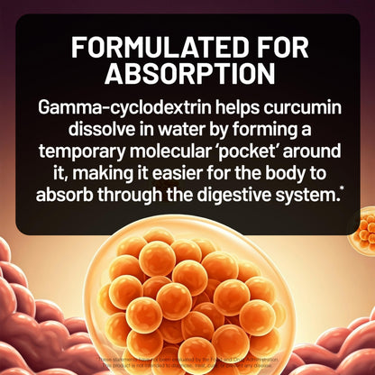 Naturewise Turmeric Curcumin capsules supplement facts panel