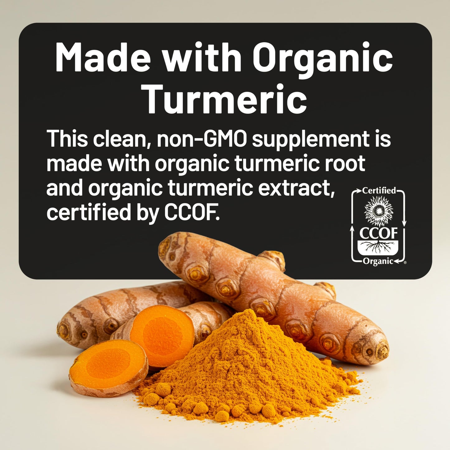 Back of NatureWise Turmeric Curcumin bottle showing ingredients and dosage
