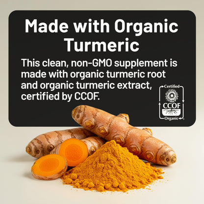 Back of NatureWise Turmeric Curcumin bottle showing ingredients and dosage