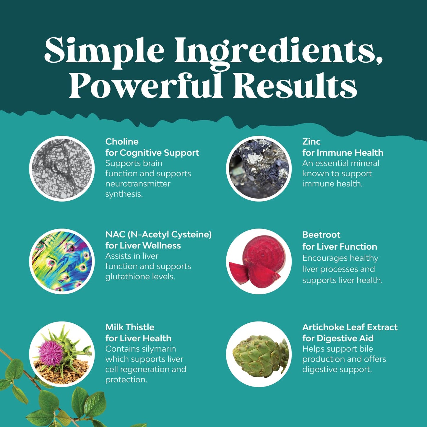 Premium liver enzyme balance supplement by Natures Craft showcasing brand seal