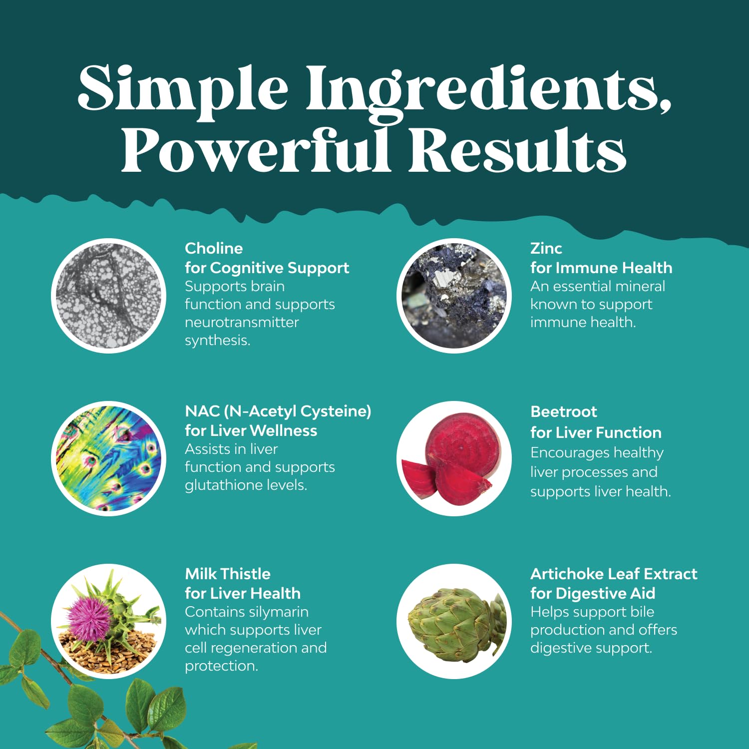 Premium liver enzyme balance supplement by Natures Craft showcasing brand seal