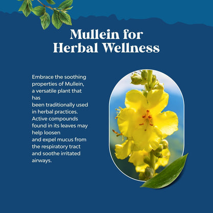 Top view of organic mullein drops packaging