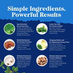 Authentic Natures Craft brand seal and packaging details for male vitality capsules