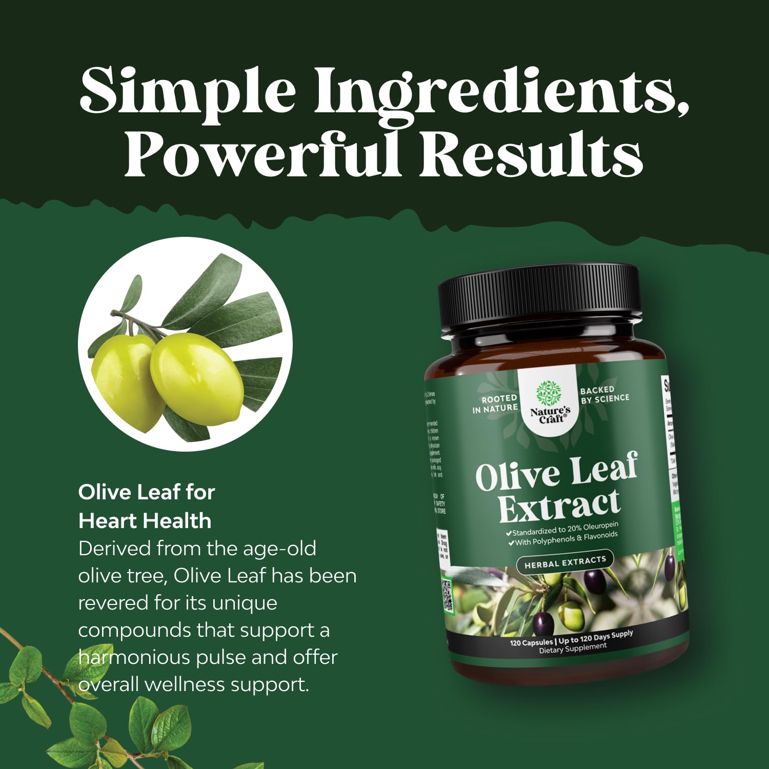 Nature's Craft Olive Leaf Extract antioxidant supplement bottle display