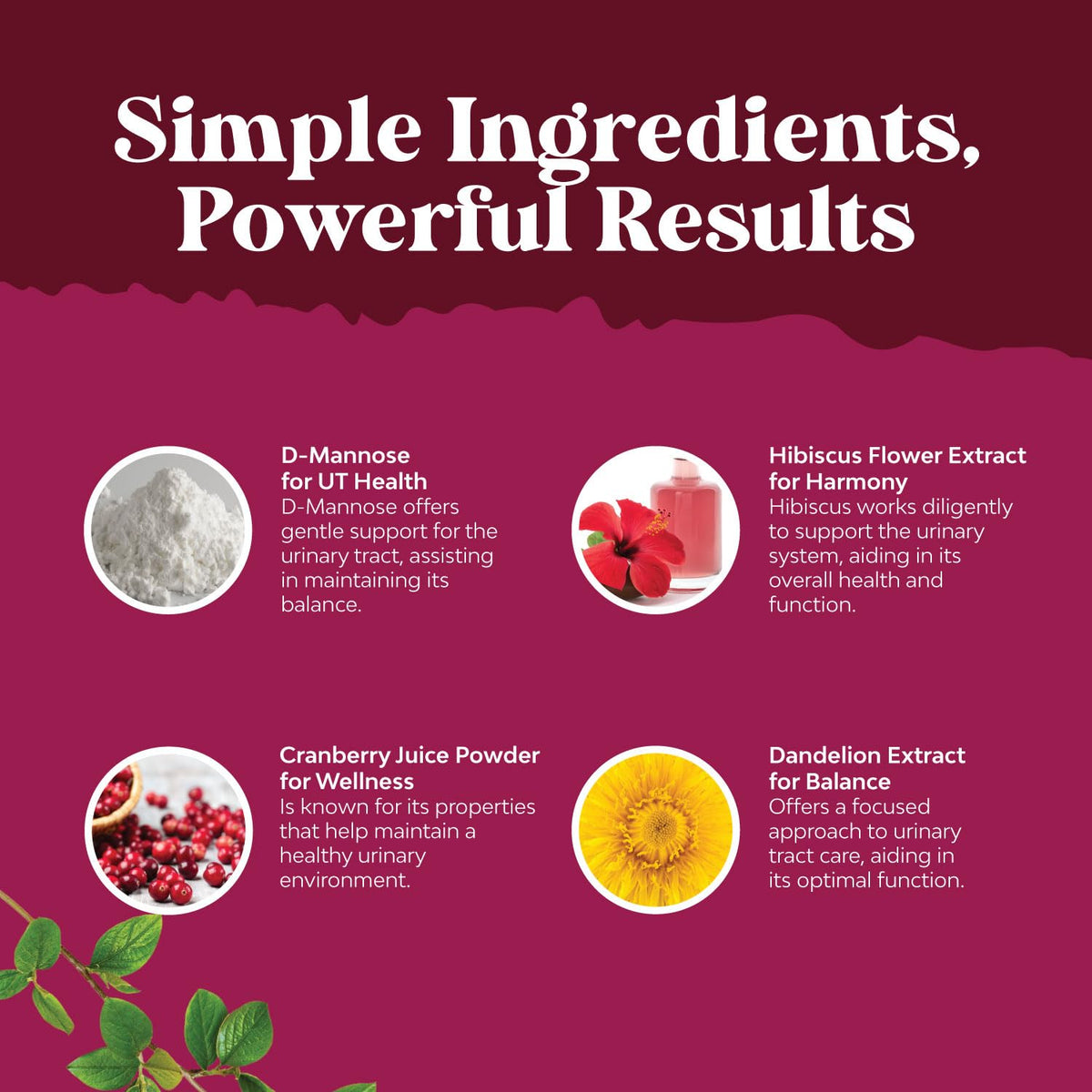 Nature's Craft dietary supplement bottle back side details