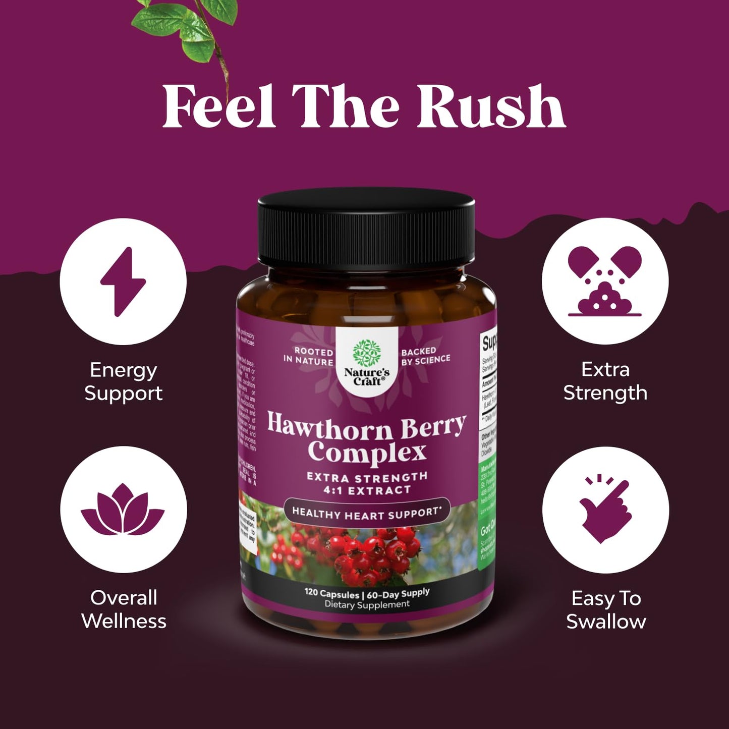 Antioxidant rich hawthorn berry supplement capsules container angle view