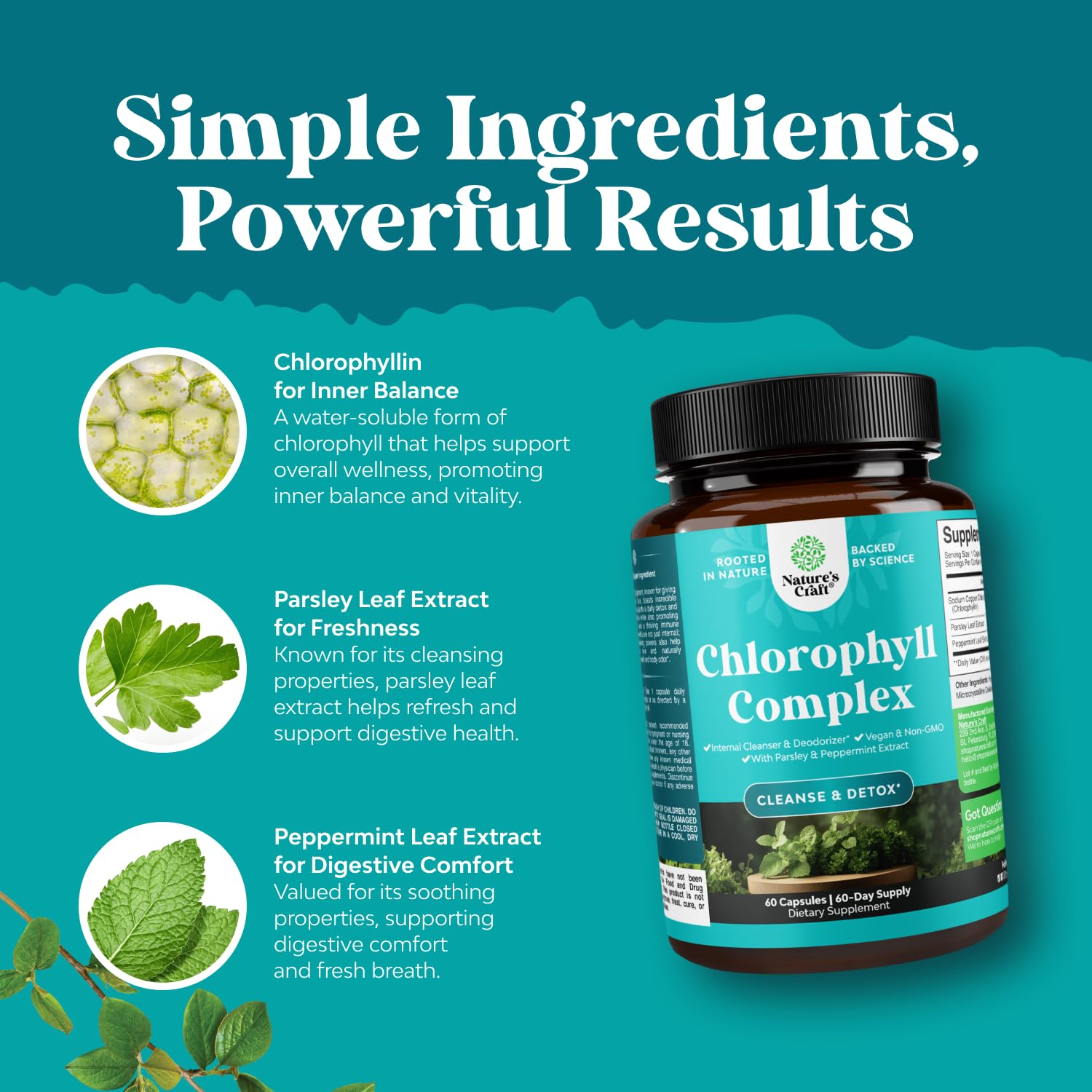 Chlorophyll capsules with peppermint and parsley leaf extract for breath freshness