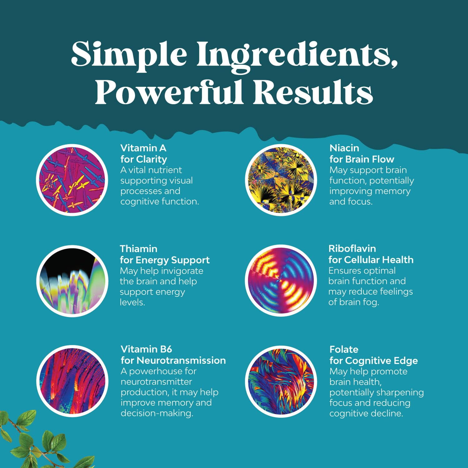 Premium nootropic brain booster capsules for clarity and cognitive health