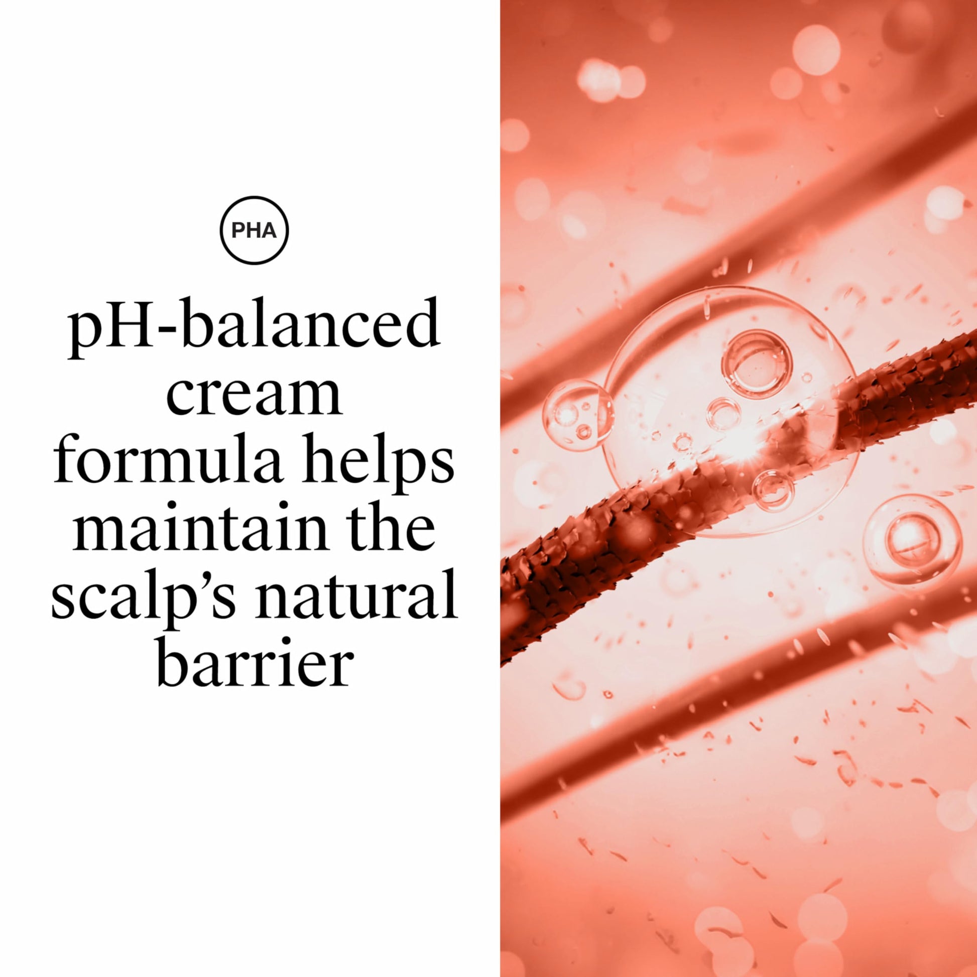 Back label of Neutrogena Healthy Scalp shampoo showing ingredients