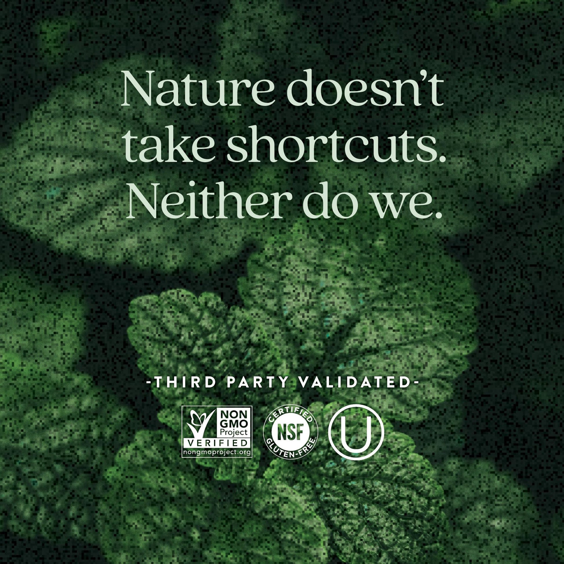 Close up of New Chapter prenatal multi bottle highlighting non GMO project verified and certified gluten free seals