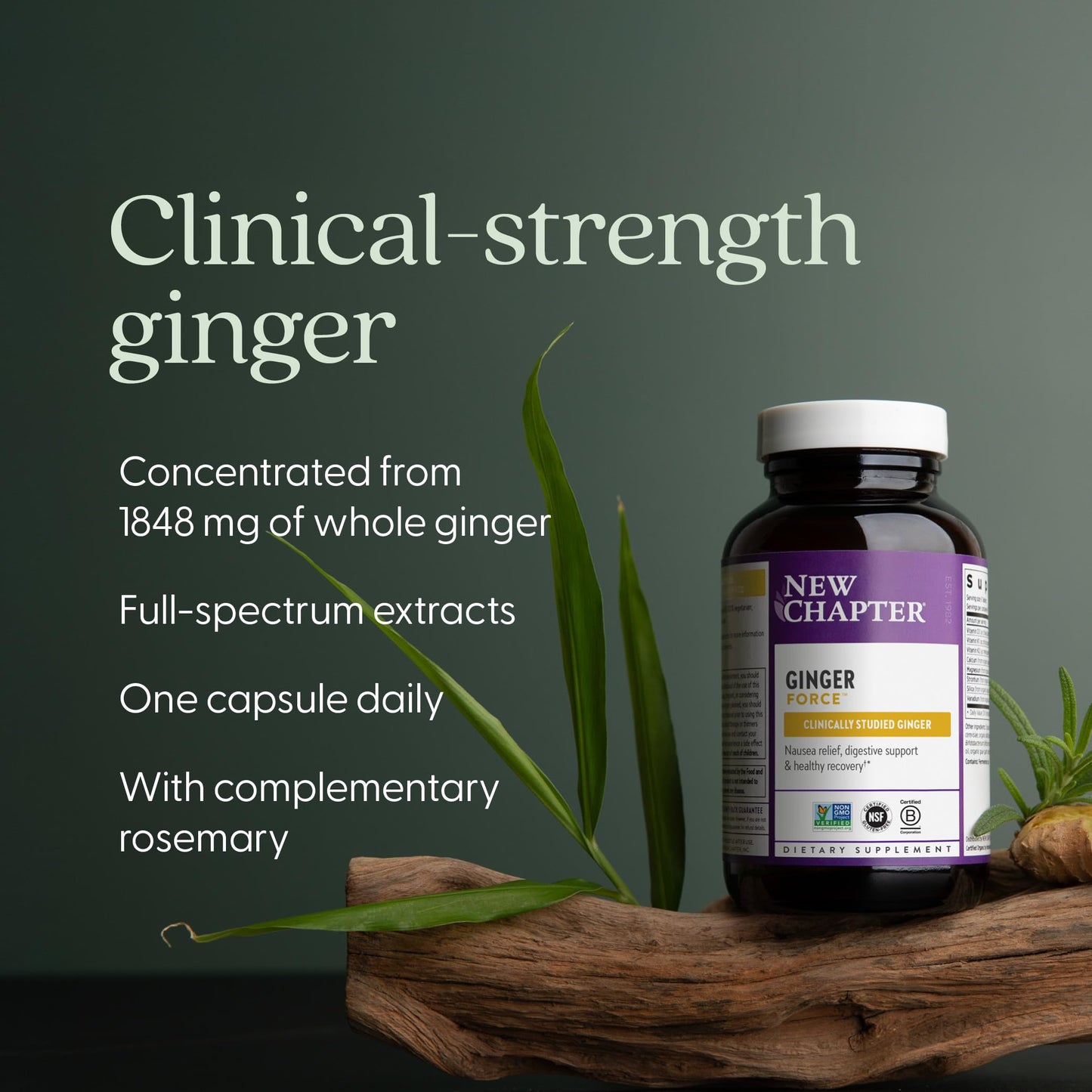 Supercritical ginger root extract 60 vegetarian capsules nutritional label