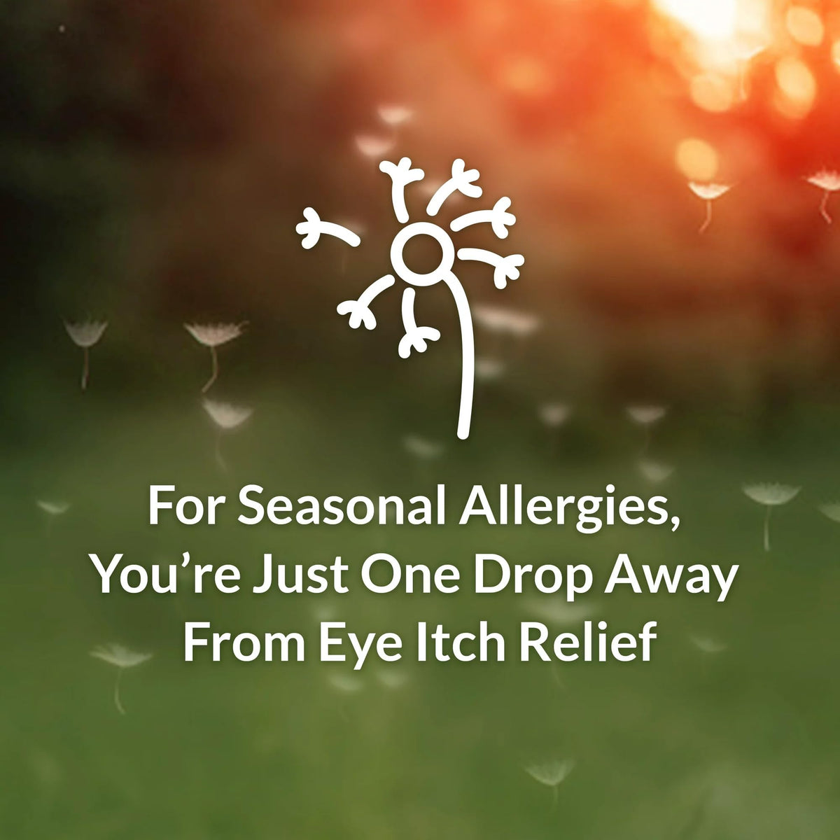 Alaway Bausch and Lomb eye drops application instructions on label