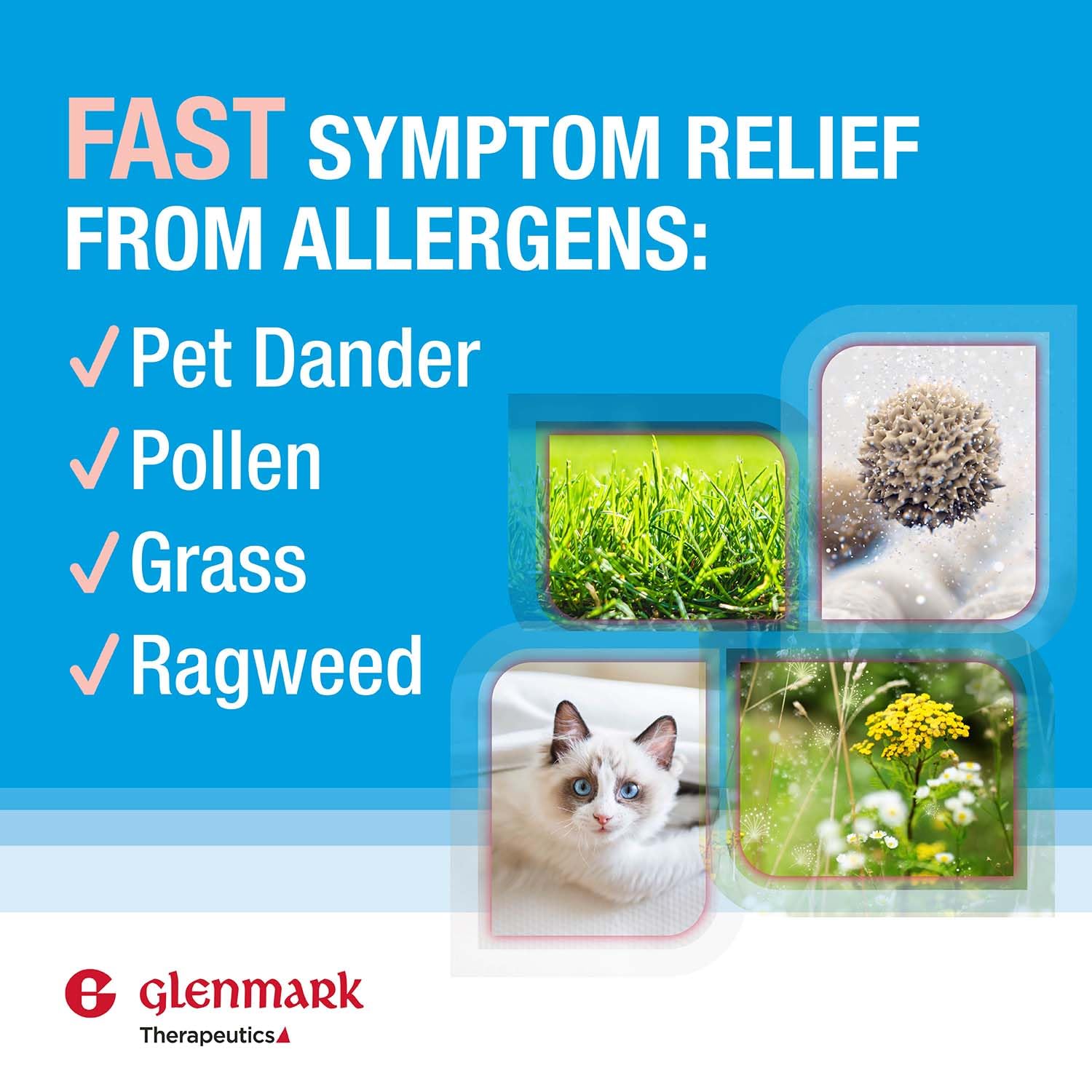 Glenmark Olopatadine Hydrochloride 0.1 percent sterile ophthalmic solution bottle