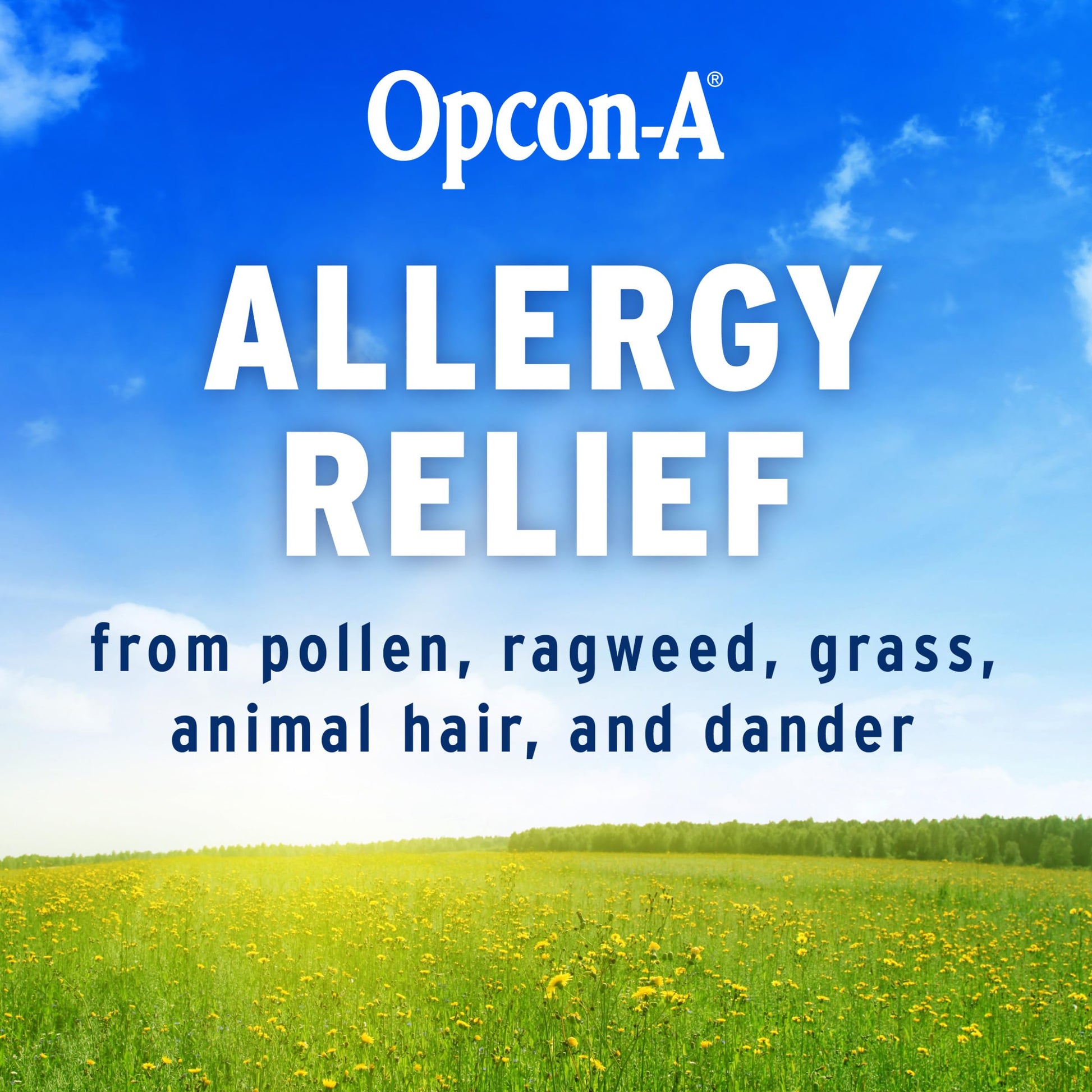 Two individual fifteen milliliter sterile bottles of Opcon-A eye allergy relief drops.