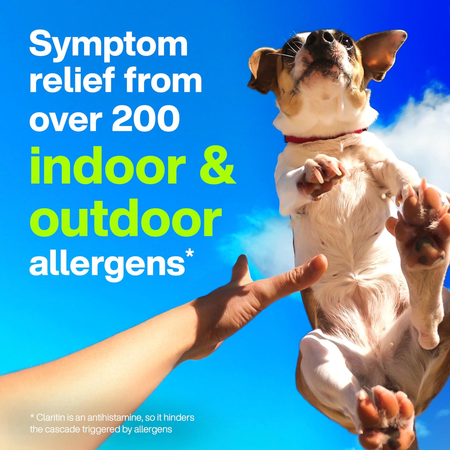 Claritin 24 hour allergy defense tablets for pet dander and pollen protection