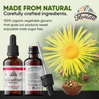 Florida Herbs Elecampane Tincture glass pipette dropper close-up