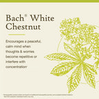 Bach Flower Remedies White Chestnut packaging and box