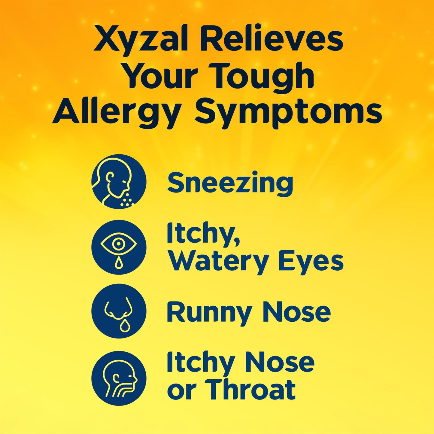Imported Xyzal 24HR antihistamine tablets box displaying indoor and outdoor allergy symptom relief icons.