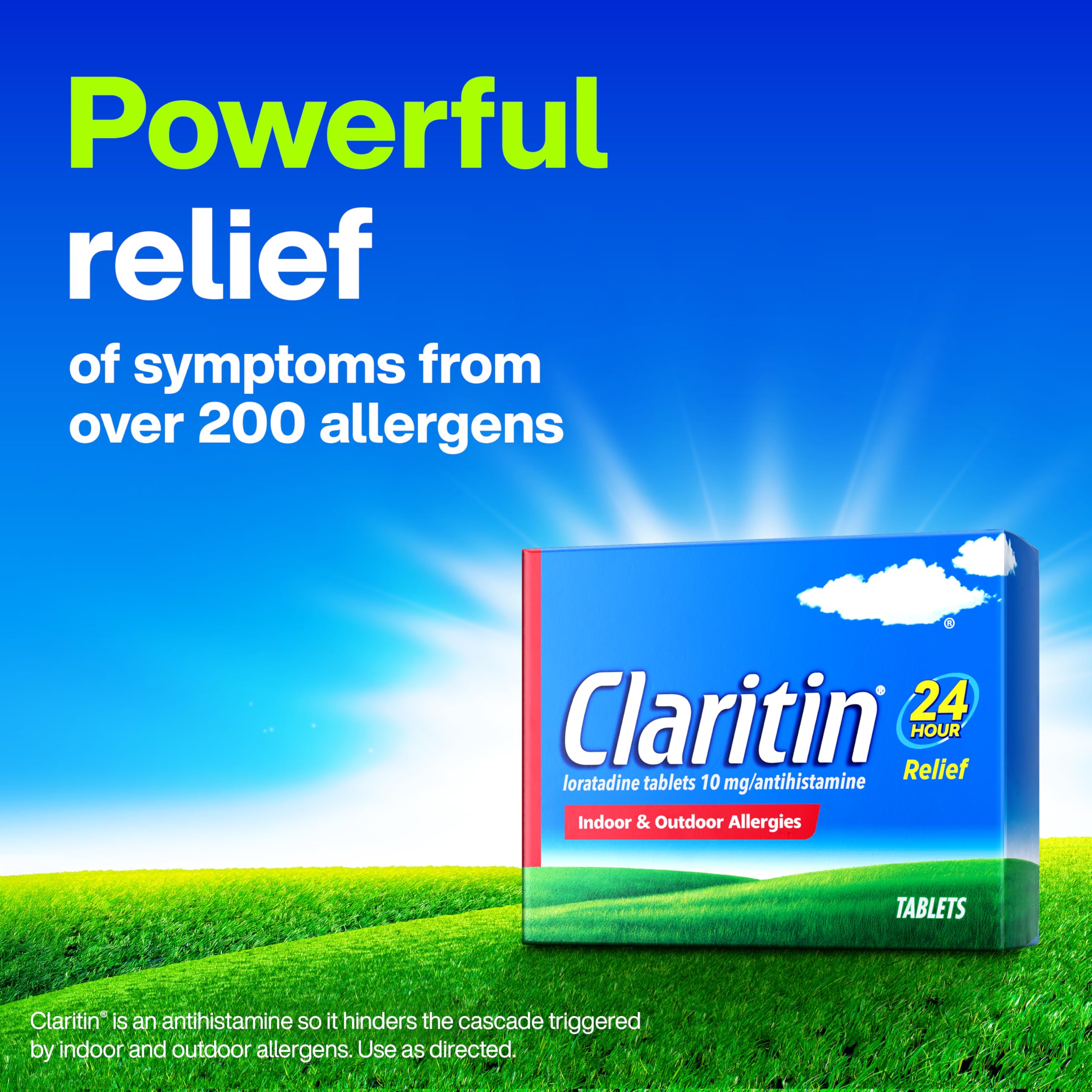 Claritin non drowsy loratadine ten milligram tablets supplement facts