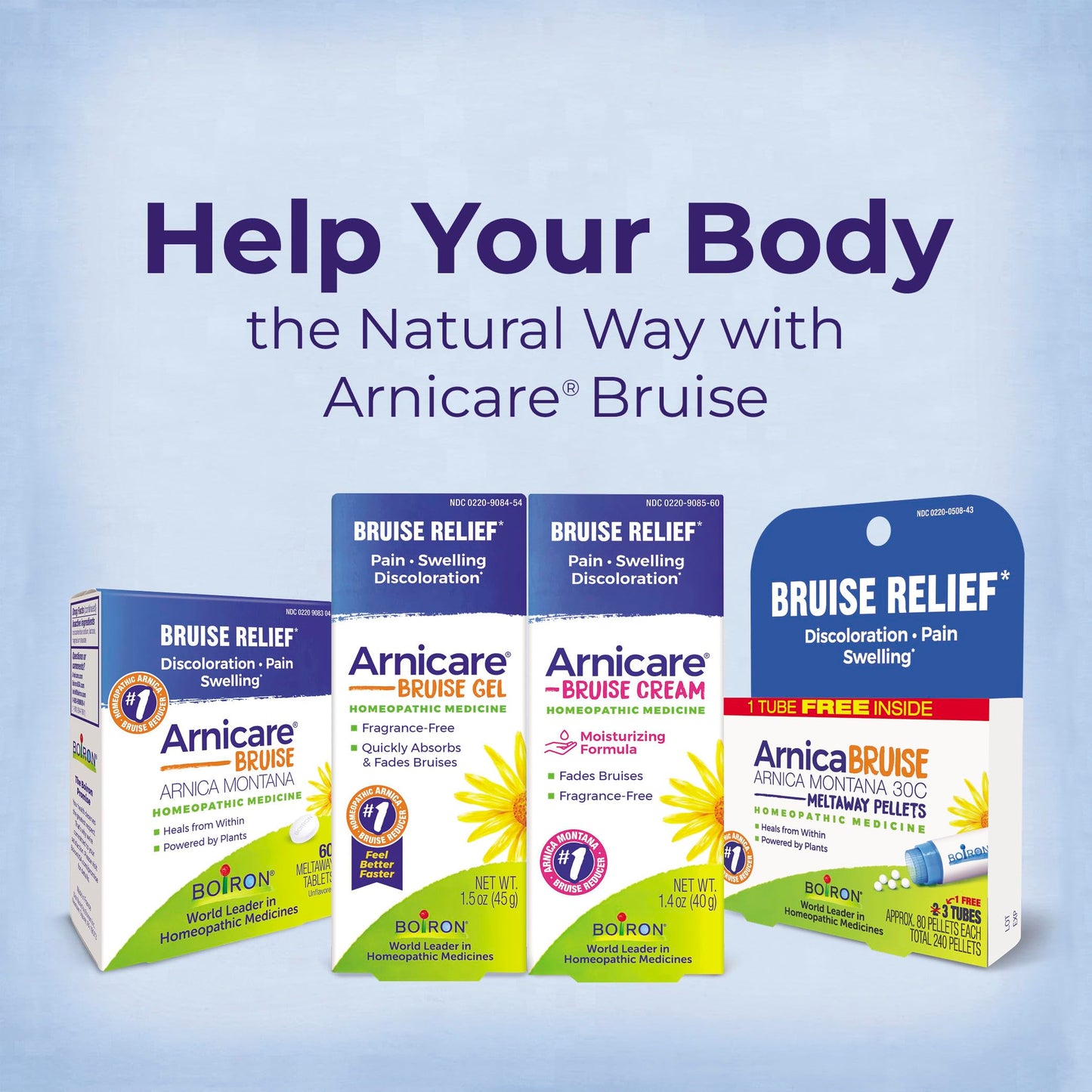 Boiron Arnicare Bruise homeopathic medicine blister pack view