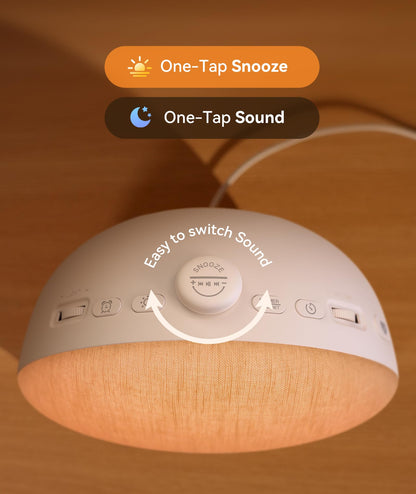 Dreamegg Sunrise 2 alarm clock unboxed with the included safe power cable and official user instructions manual