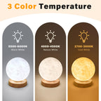 Doraubia sun lamp showing textured moon surface design