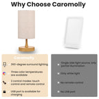 Caromolly light therapy lamp in packaging box ready for shipping