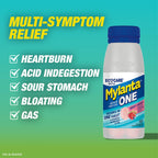 Mylanta One Berry Ginger bottle packaging details