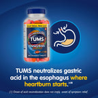 Tums Chewy Bites Mixed Fruit tablets displayed outside of the bottle