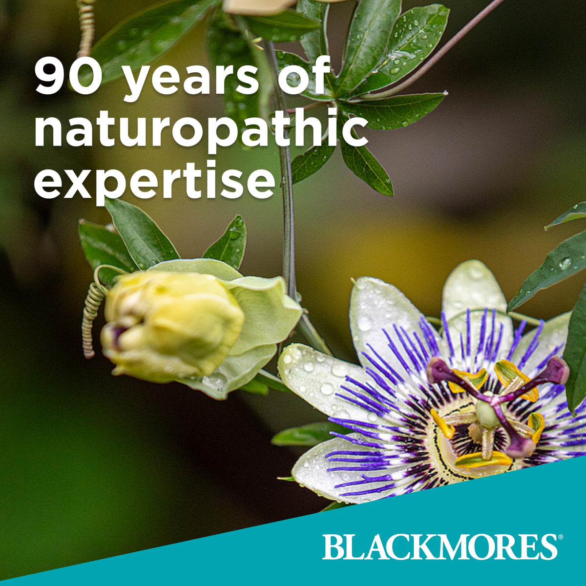 Blackmores Lyprinol Double joint care supplement box showcasing official allergy warnings