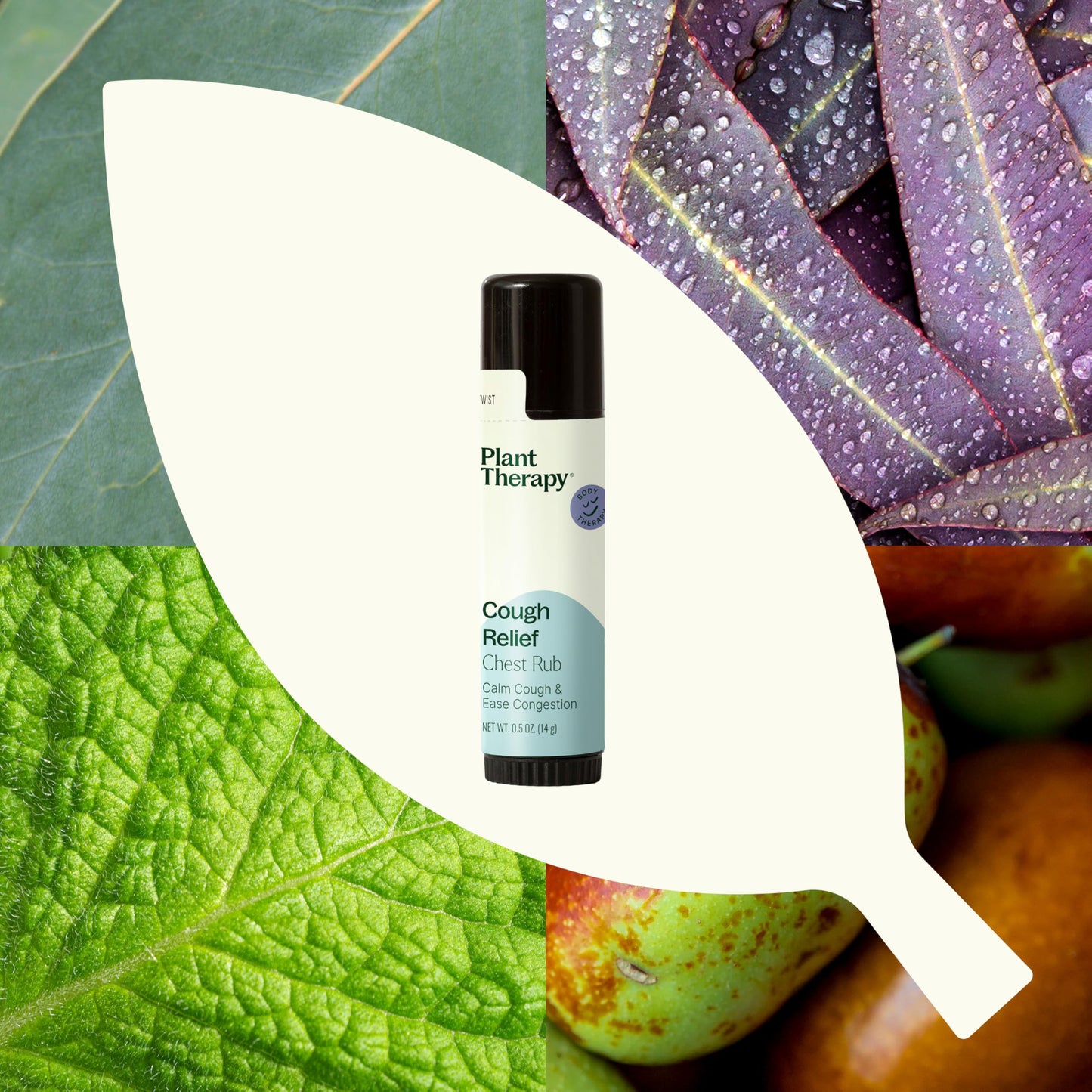 Natural ingredient label of Plant Therapy chest rub