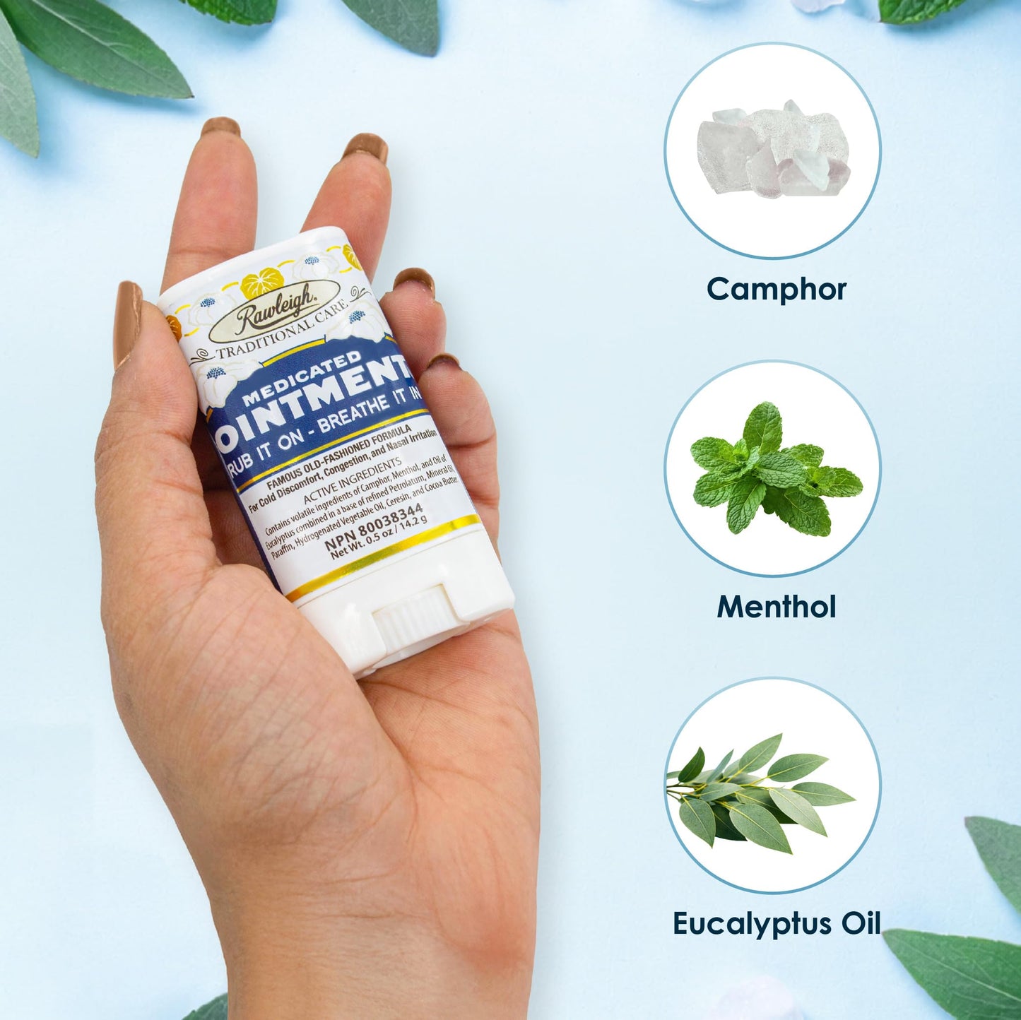 Back label of Rawleigh Medicated Ointment Stick displaying active ingredients including camphor, menthol, and eucalyptus.